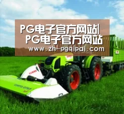 关于pg棋牌