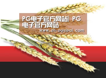 PG电子官方网站| PG电子官方网站